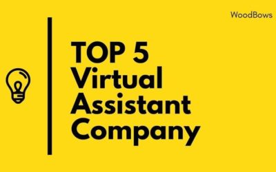 Top 5 Virtual Assistant Companies in US [2020 – Updated]